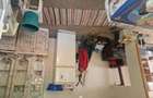 Vand cabana. Comuna Bor?a, jud Cluj. 6 arii pamant. 46 m cabana. Pre? 50000 euro. Tel - 3