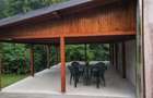 Vila de lux langa Transfagarasan in regim hotelier - 4