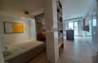 Inchiriere 2 Camere Studio Piata Victoriei- Sfintii Voievozi - 11