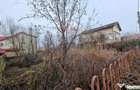 Vanzare Teren 625mp Mogosoaia / Strada Livezilor - 1