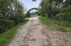 Proprietate Beharca teren 38464mp - 11