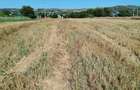 Teren intravilan folosit ca agricol - 4