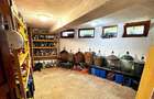 Casa in apreciabil potential,cu terase, curte,gradina echipata,2 pivnite,Str. Ro - 17