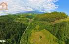 Investitie Smart in Moieciu, 3.1 ha, Panorama 360 Bucegi - Piatra Crai - 17
