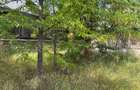 Teren 1082mp + drum - Parcelabil - str Tudor Vladimirescu, Otopeni Odaile