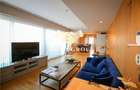 Gradina Icoanei  - Penthouse tip duplex - - 4