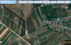 Teren pentru investitie imobiliara - 4