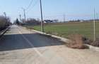 Teren Slobozia Noua, Ialomita, parcele teren intravilan, 500-2000m, 20-80 euro/mp - 3