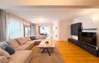 Apartament cu 4 camere de inchiriat Herastrau - 4
