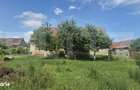 Proprietate de vanzare, teren 5488 mp, localitatea Ambud, comuna Paule - 3