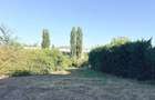 Teren intravilan 1803 mp la intrare in Baile Felix - Sanmartin (Bihor)