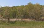 Teren intravilan de 2100 mp, în Vălenii de Munte - 5