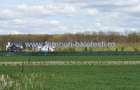 Teren langa padure si aproape utilitati,800 mp,36000 euro - 10