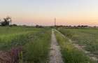 Ideal Investitie - Str Ctin Brancoveanu, zona noua, intravilan in noul - 6