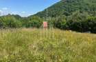 Teren intravilan 4600mp - 55 EUR/mp - EXCLUSIVITATE CISNADIOARA - COMI - 11