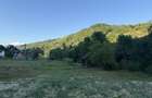 Teren intravilan de vanzare 40 ari, Rebra, Bistrita-Nasaud - 5