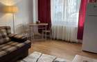 Ultracentral zona McDonalds - Apartament cu 1 camera Baia Mare - 5