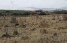 Teren agricol extravilan in Feiurdeni langa Campene?ti. S=12600mp - 4
