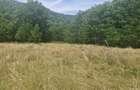 Cabana ?i teren 1600 metri intravilan la munte - 3