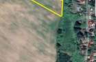 Vand teren 1,9 ha, zona 3 insule, aproape de Mures! - 3