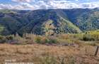 Vand doua parcele de teren in suprafa?a de 3000 ?i 4700 mp - 4
