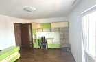 Apartament de inchiriat- zona Nufarul - 2