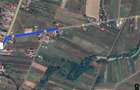 Teren agricol 3009mp FS=34.8m Titesti AG - 3