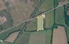Teren intravilan de vanzare 9800 mp, Salonta, Bihor, GaminvestV4569 - 2