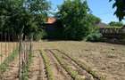 Casa de vanzare, com. Corbii Mari, Satu Nou, jud. Dambovita - 11