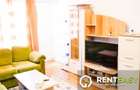 Apartament cu 2 camere de inchiriat Podul de Fier - 8