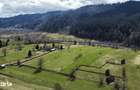 Vindem teren intravilan 8704 mp Vatra Moldovitei - Bucovina - 9