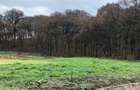 Teren de vanzare in Greweln,Medias