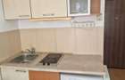 Garsoniera ultra-centrala, Str. Vasile Alecsandri - 300m UMF & 150m Piata Unirii