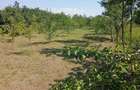 casa de vnzate 48000 euro - 5
