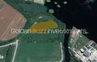 Teren exclusiv 3.800 mp pe malul Lacului Snagov | 38 m deschidere LAC - 3