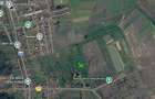 Teren intravilan 4.732 mp Livezi, Podari 8 km de Craiova - 2