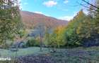 Vand teren cu vedere la lac, Valea Doftanei,Strada Lacului - 2