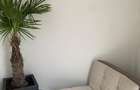 Inchiriere 30 LEI/PAT/ZI -Motel Snagov