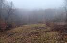 Teren intravilan 3.186 mp Sat Varmaga, Certeju de Sus, Hunedoara luminis la poalele muntelui - 5