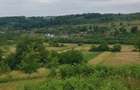 Laschia, 6 ha teren - Laschia (Maramures) - 4