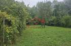 Casa de vanzare Breaza- teren 2549 mp - 2
