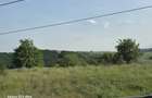 Teren extravilan de vanzare- priveliste panoramica, vie si pomi fructiferi - 5