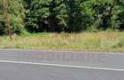 Teren Intravilan In Marga-La Dn68 Jud.caras-Severin - 8