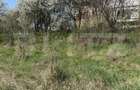 Teren intravilan in localitatea Criseni in suprafata de 2700 - 2