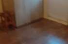 Vanzare apartament in recas doua camere doua balcoane centrala termica la parter. - 3