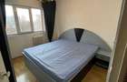Apartament 3 cam PB zona Nufarul - 7