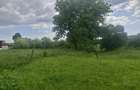 vant urgent teren 5000mp in localitatea hales - 3