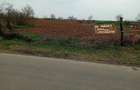 Teren de 2000 mp, în Curtișoara - 2