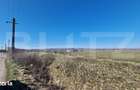 Teren intravilan, 29.000mp, front 102mp, utilitati in zona, Jucu de Su - 4