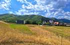 Teren de vanzare 1.257 mp Gura Raului-Zona Marajdiei -Investitie! - 7